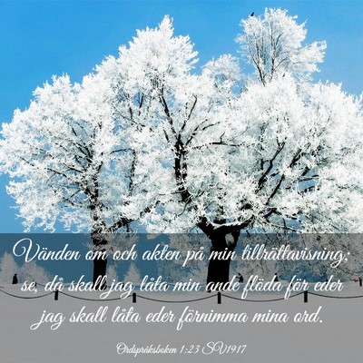 Picture 03 - Ordspråksboken 1:23 SV1917 - Vänden om och akten på min tillrättavisning; - Bible Verse Picture
