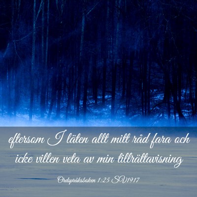 Picture 03 - Ordspråksboken 1:25 SV1917 - eftersom I läten allt mitt råd fara och icke - Bible Verse Picture