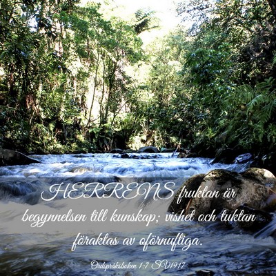 Picture 03 - Ordspråksboken 1:7 SV1917 - HERRENS fruktan är begynnelsen till kunskap; - Bible Verse Picture