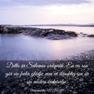 Picture 03 - Ordspråksboken 10:1 SV1917 - Detta är Salomos ordspråk. En vis son gör sin - Bible Verse Picture