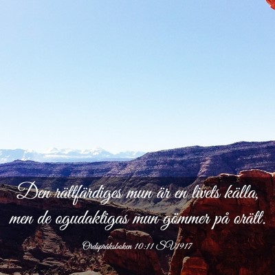 Picture 03 - Ordspråksboken 10:11 SV1917 - Den rättfärdiges mun är en livets källa, men - Bible Verse Picture