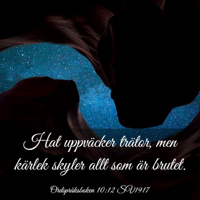 Picture 03 - Ordspråksboken 10:12 SV1917 - Hat uppväcker trätor, men kärlek skyler allt - Bible Verse Picture