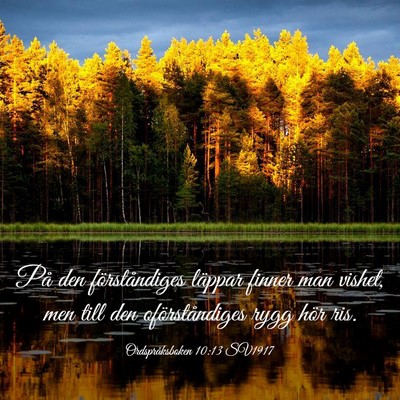 Picture 03 - Ordspråksboken 10:13 SV1917 - På den förståndiges läppar finner man vishet, - Bible Verse Picture