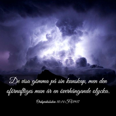 Picture 03 - Ordspråksboken 10:14 SV1917 - De visa gömma på sin kunskap, men den - Bible Verse Picture