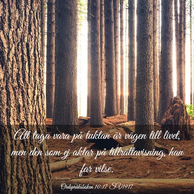 Picture 03 - Ordspråksboken 10:17 SV1917 - Att taga vara på tuktan är vägen till livet, - Bible Verse Picture