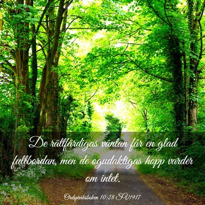Picture 03 - Ordspråksboken 10:28 SV1917 - De rättfärdigas väntan får en glad - Bible Verse Picture
