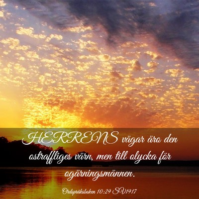 Picture 03 - Ordspråksboken 10:29 SV1917 - HERRENS vägar äro den ostraffliges värn, men - Bible Verse Picture