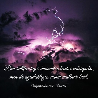 Picture 03 - Ordspråksboken 10:7 SV1917 - Den rättfärdiges åminnelse lever i - Bible Verse Picture