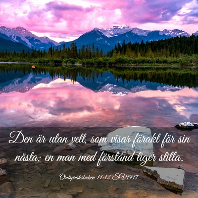 Picture 03 - Ordspråksboken 11:12 SV1917 - Den är utan vett, som visar förakt för sin - Bible Verse Picture