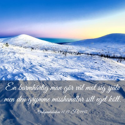 Picture 03 - Ordspråksboken 11:17 SV1917 - En barmhärtig man gör väl mot sig själv men - Bible Verse Picture