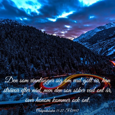 Picture 03 - Ordspråksboken 11:27 SV1917 - Den som vinnlägger sig om vad gott är, han - Bible Verse Picture