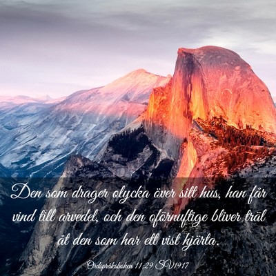 Picture 03 - Ordspråksboken 11:29 SV1917 - Den som drager olycka över sitt hus, han får - Bible Verse Picture