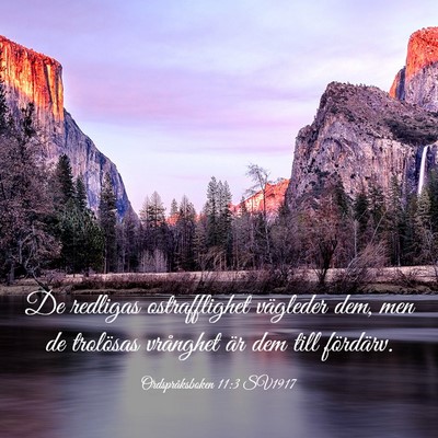 Picture 03 - Ordspråksboken 11:3 SV1917 - De redligas ostrafflighet vägleder dem, men de - Bible Verse Picture