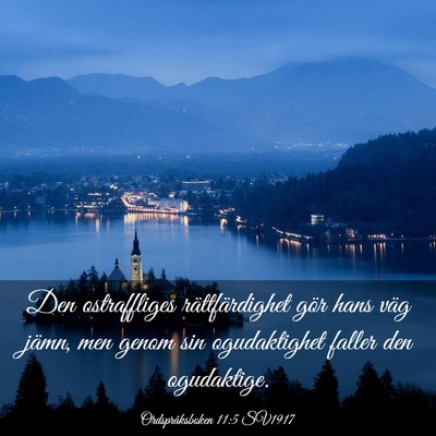 Picture 03 - Ordspråksboken 11:5 SV1917 - Den ostraffliges rättfärdighet gör hans väg - Bible Verse Picture