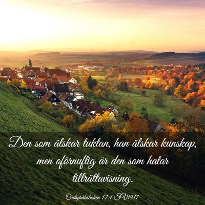 Picture 03 - Ordspråksboken 12:1 SV1917 - Den som älskar tuktan, han älskar kunskap, men - Bible Verse Picture