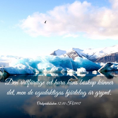 Picture 03 - Ordspråksboken 12:10 SV1917 - Den rättfärdige vet huru hans boskap känner - Bible Verse Picture