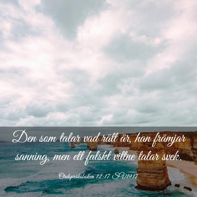Picture 03 - Ordspråksboken 12:17 SV1917 - Den som talar vad rätt är, han främjar - Bible Verse Picture