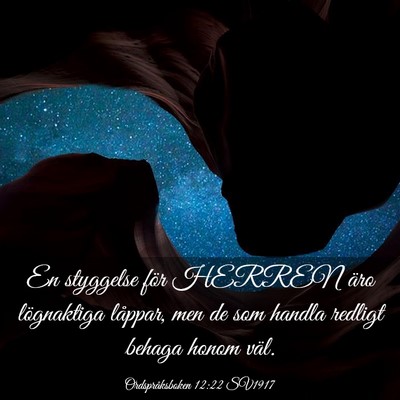 Picture 03 - Ordspråksboken 12:22 SV1917 - En styggelse för HERREN äro lögnaktiga - Bible Verse Picture