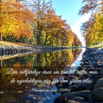 Picture 03 - Ordspråksboken 12:26 SV1917 - Den rättfärdige visar sin vän till rätta, men - Bible Verse Picture