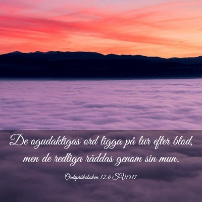 Picture 03 - Ordspråksboken 12:6 SV1917 - De ogudaktigas ord ligga på lur efter blod, men - Bible Verse Picture