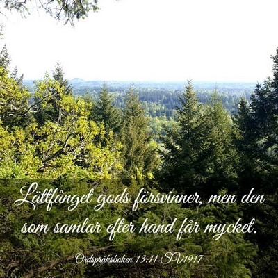 Picture 03 - Ordspråksboken 13:11 SV1917 - Lättfånget gods försvinner, men den som samlar - Bible Verse Picture