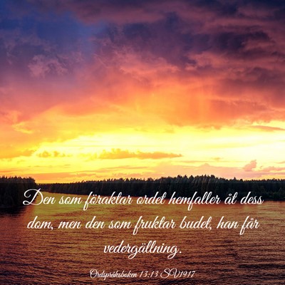 Picture 03 - Ordspråksboken 13:13 SV1917 - Den som föraktar ordet hemfaller åt dess dom, - Bible Verse Picture