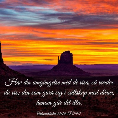 Picture 03 - Ordspråksboken 13:20 SV1917 - Hav din umgängelse med de visa, så varder du - Bible Verse Picture