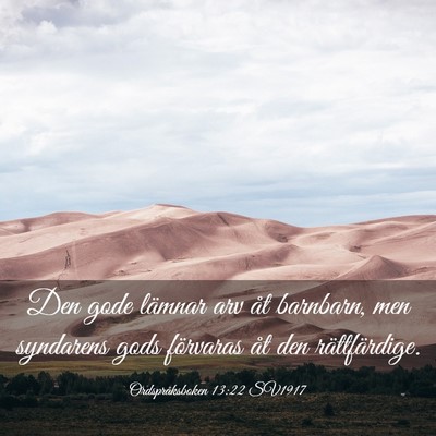 Picture 03 - Ordspråksboken 13:22 SV1917 - Den gode lämnar arv åt barnbarn, men syndarens - Bible Verse Picture