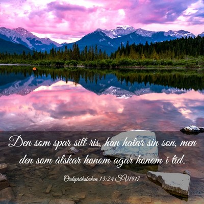 Picture 03 - Ordspråksboken 13:24 SV1917 - Den som spar sitt ris, han hatar sin son, men den - Bible Verse Picture