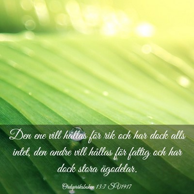 Picture 03 - Ordspråksboken 13:7 SV1917 - Den ene vill hållas för rik och har dock alls - Bible Verse Picture