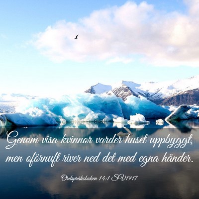 Picture 03 - Ordspråksboken 14:1 SV1917 - Genom visa kvinnor varder huset uppbyggt, men - Bible Verse Picture