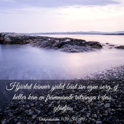 Picture 03 - Ordspråksboken 14:10 SV1917 - Hjärtat känner självt bäst sin egen sorg, ej - Bible Verse Picture