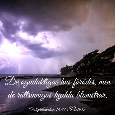 Picture 03 - Ordspråksboken 14:11 SV1917 - De ogudaktigas hus förödes, men de - Bible Verse Picture
