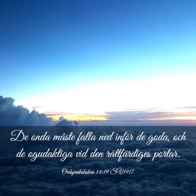 Picture 03 - Ordspråksboken 14:19 SV1917 - De onda måste falla ned inför de goda, och de - Bible Verse Picture