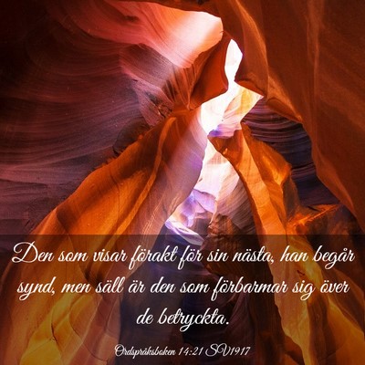 Picture 03 - Ordspråksboken 14:21 SV1917 - Den som visar förakt för sin nästa, han begår - Bible Verse Picture
