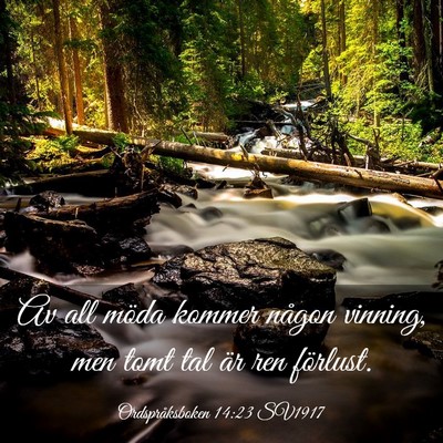 Picture 03 - Ordspråksboken 14:23 SV1917 - Av all möda kommer någon vinning, men tomt tal - Bible Verse Picture