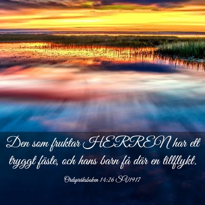 Picture 03 - Ordspråksboken 14:26 SV1917 - Den som fruktar HERREN har ett tryggt fäste, och - Bible Verse Picture