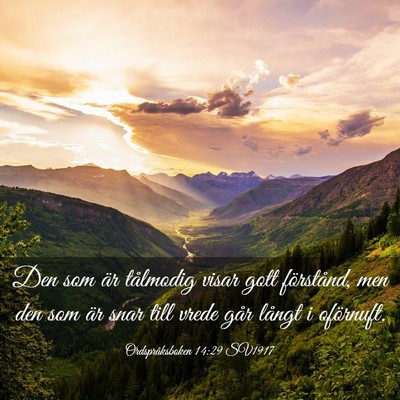 Picture 03 - Ordspråksboken 14:29 SV1917 - Den som är tålmodig visar gott förstånd, men - Bible Verse Picture
