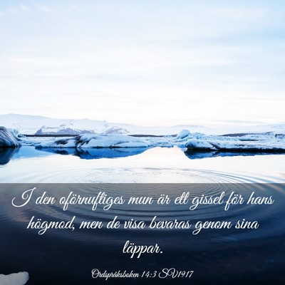 Picture 03 - Ordspråksboken 14:3 SV1917 - I den oförnuftiges mun är ett gissel för hans - Bible Verse Picture