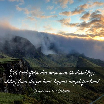 Picture 03 - Ordspråksboken 14:7 SV1917 - Gå bort ifrån den man som är dåraktig; aldrig - Bible Verse Picture