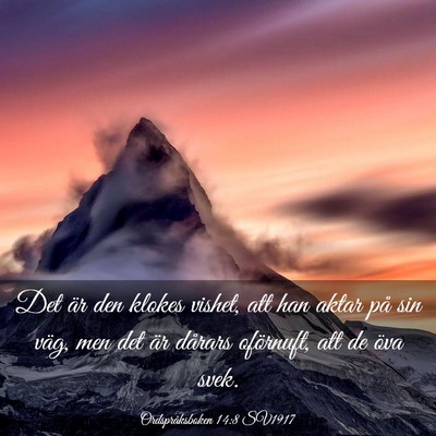 Picture 03 - Ordspråksboken 14:8 SV1917 - Det är den klokes vishet, att han aktar på sin - Bible Verse Picture
