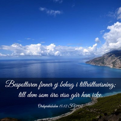 Picture 03 - Ordspråksboken 15:12 SV1917 - Bespottaren finner ej behag i tillrättavisning; - Bible Verse Picture