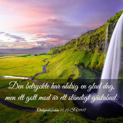 Picture 03 - Ordspråksboken 15:15 SV1917 - Den betryckte har aldrig en glad dag, men ett - Bible Verse Picture