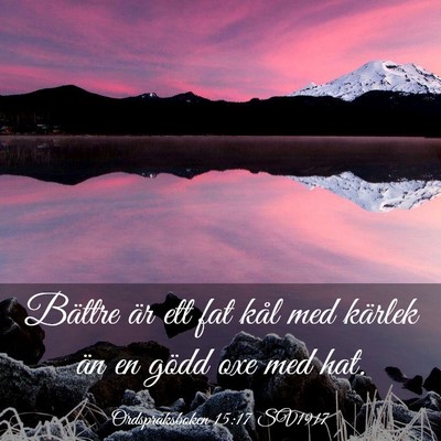 Picture 03 - Ordspråksboken 15:17 SV1917 - Bättre är ett fat kål med kärlek än en gödd - Bible Verse Picture