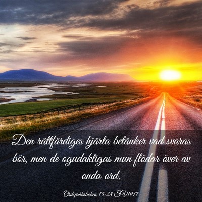 Picture 03 - Ordspråksboken 15:28 SV1917 - Den rättfärdiges hjärta betänker vad svaras - Bible Verse Picture