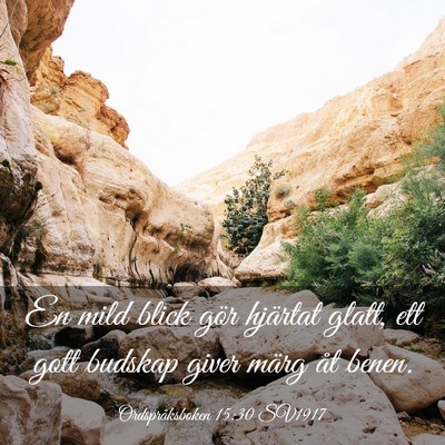 Picture 03 - Ordspråksboken 15:30 SV1917 - En mild blick gör hjärtat glatt, ett gott - Bible Verse Picture
