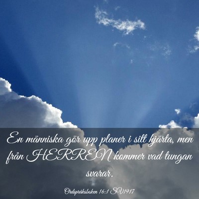 Picture 03 - Ordspråksboken 16:1 SV1917 - En människa gör upp planer i sitt hjärta, men - Bible Verse Picture