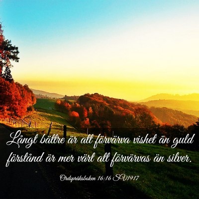 Picture 03 - Ordspråksboken 16:16 SV1917 - Långt bättre är att förvärva vishet än guld - Bible Verse Picture