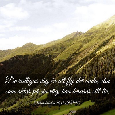 Picture 03 - Ordspråksboken 16:17 SV1917 - De redligas väg är att fly det onda; den som - Bible Verse Picture