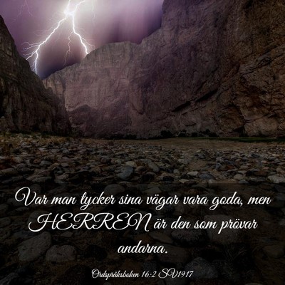 Picture 03 - Ordspråksboken 16:2 SV1917 - Var man tycker sina vägar vara goda, men HERREN - Bible Verse Picture